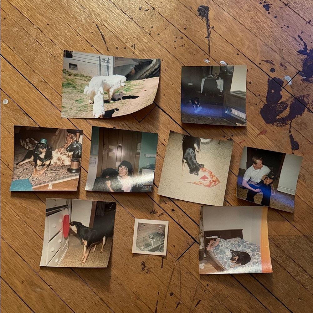Vintage Dog and Family Photo Collection